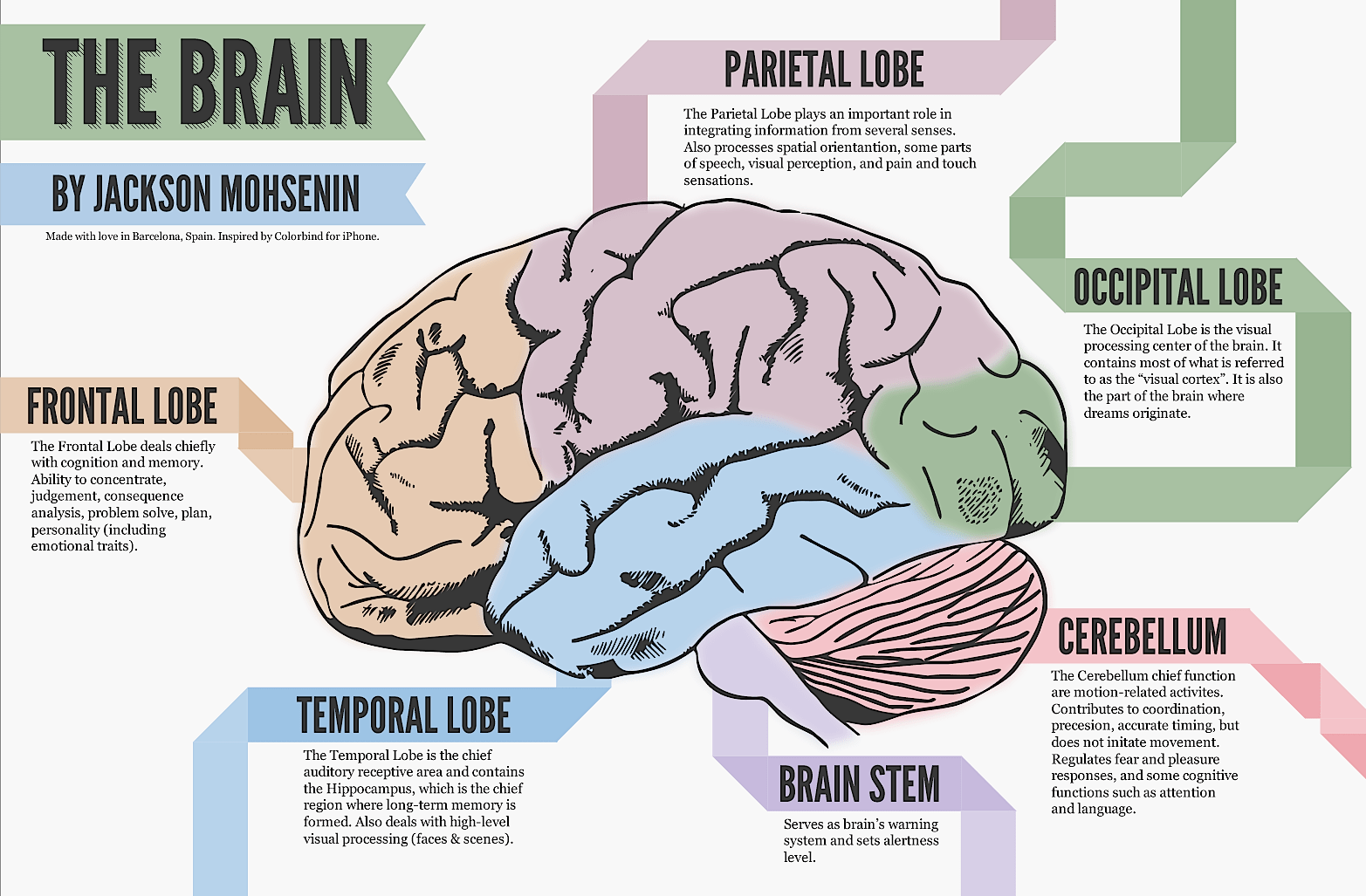 The Human Brain (full documentary) HD