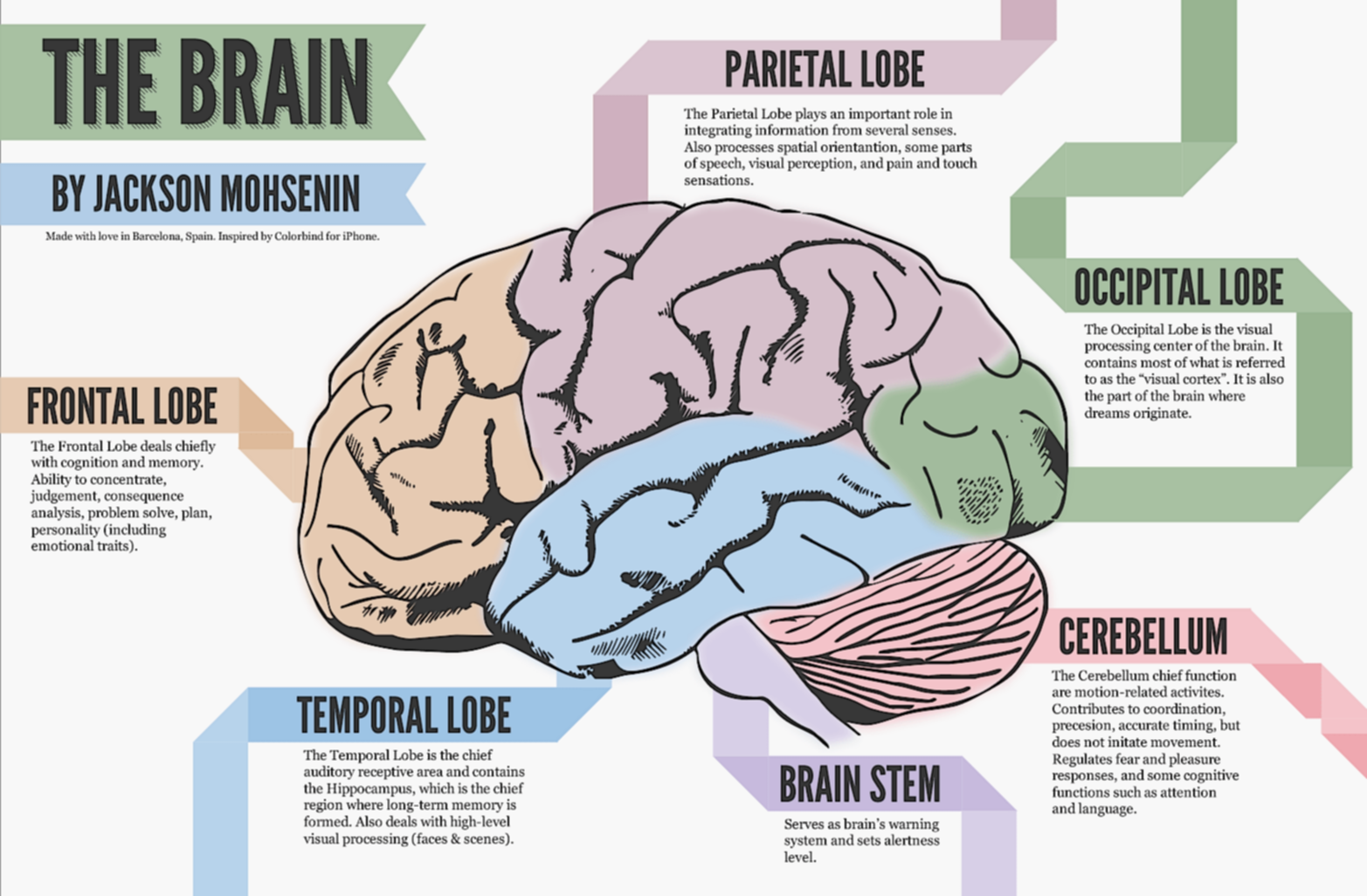 The Brain that Changes Itself - Top Documentary Films