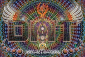 Joe Rogan talks about DMT