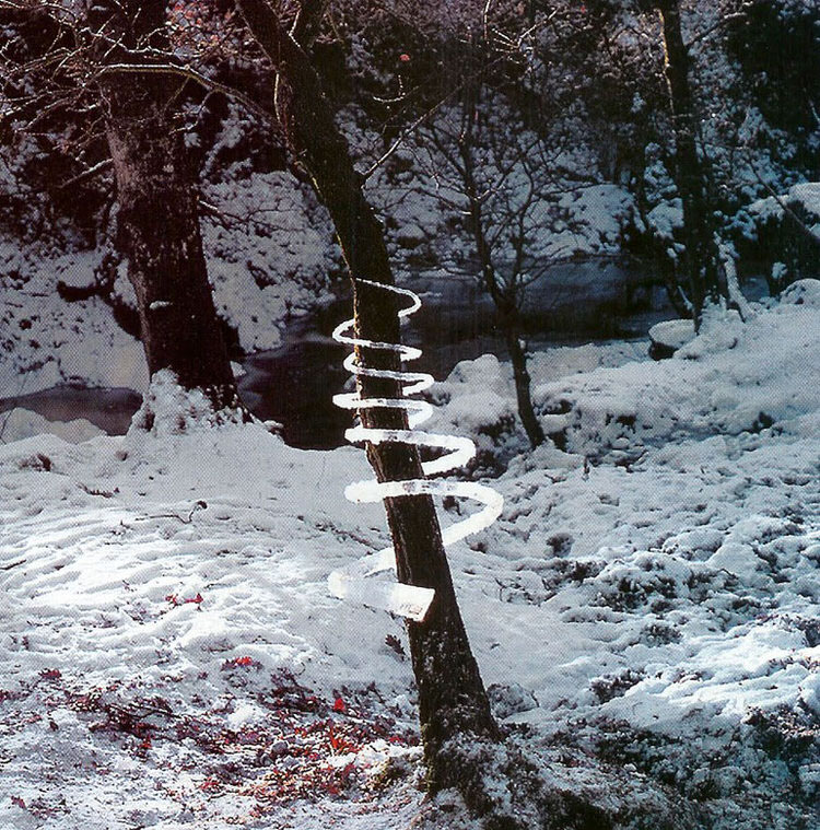 Rivers and Tides-andy-goldsworthy-8